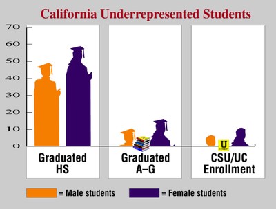 Underrepresented gender gap